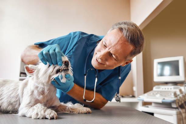  Richland Hills, TX Emergency Dentist Pros